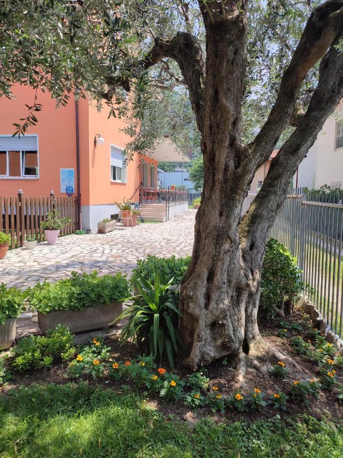 Albergo Villa Mimosa Torbole Sul Garda Exterior photo